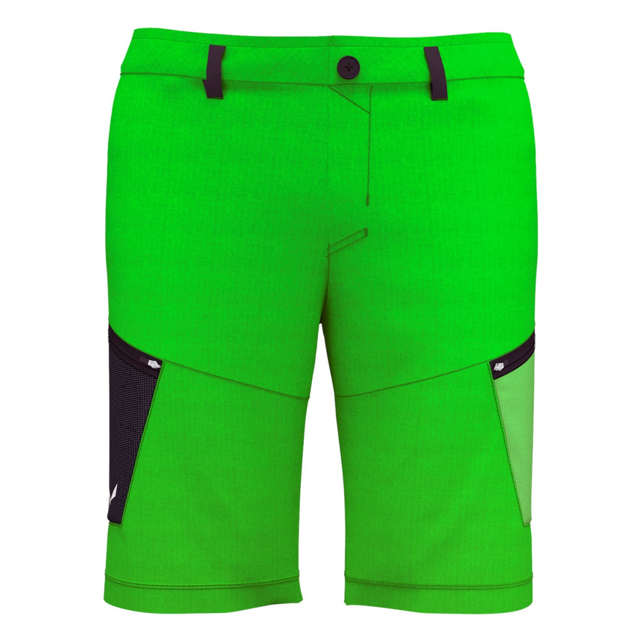 Salewa Men's Alpine Hemp Shorts Green ZWS-208163